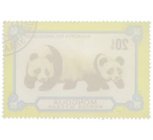 Почтовая марка 20 мунгу 1977 года Монголия «Панды — Большая панда» — Фото №2