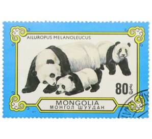 Почтовая марка 80 мунгу 1977 года Монголия «Панды — Большая панда» — Фото №1