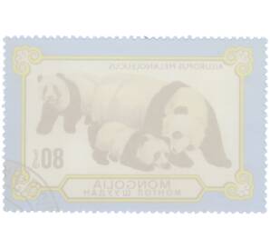 Почтовая марка 80 мунгу 1977 года Монголия «Панды — Большая панда» — Фото №2