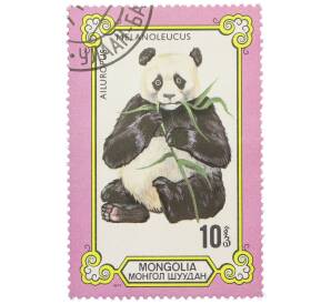 Почтовая марка 10 мунгу 1977 года Монголия «Панды — Большая панда» — Фото №1