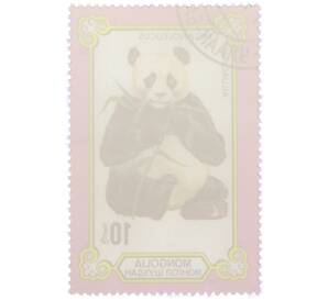Почтовая марка 10 мунгу 1977 года Монголия «Панды — Большая панда» — Фото №2