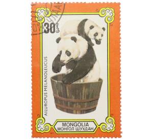 Почтовая марка 30 мунгу 1977 года Монголия «Панды — Большая панда» — Фото №1
