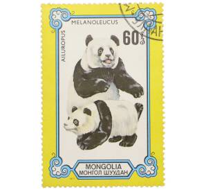 Почтовая марка 60 мунгу 1977 года Монголия «Панды — Большая панда» — Фото №1