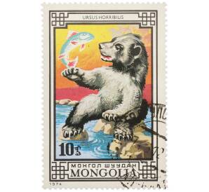 Почтовая марка 10 мунгу 1974 года Монголия «Медведи — Гризли» — Фото №1