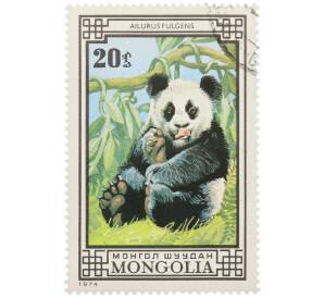 Почтовая марка 20 мунгу 1974 года Монголия «Медведи — Большая панда» — Фото №1