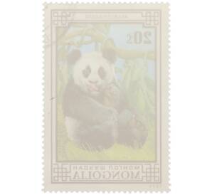 Почтовая марка 20 мунгу 1974 года Монголия «Медведи — Большая панда» — Фото №2