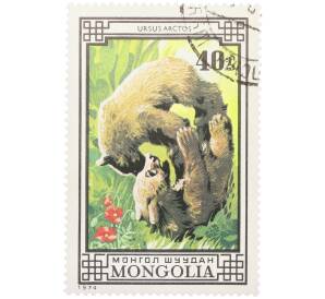 Почтовая марка 40 мунгу 1974 года Монголия «Медведи — Бурый медведь и мак» — Фото №1
