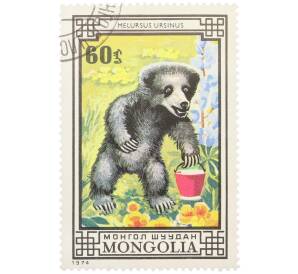Почтовая марка 60 мунгу 1974 года Монголия «Охраняемые животные — Губач» — Фото №1