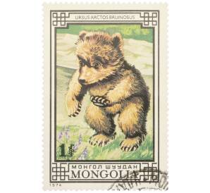 Почтовая марка 1 тугрик 1974 года Монголия «Охраняемые животные — Тибетский бурый медведь» — Фото №1