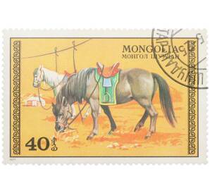 Почтовая марка 40 мунгу 1977 года Монголия «Серия лошадей — Оседланные лошади» — Фото №1
