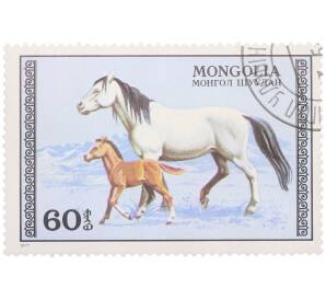 Почтовая марка 60 мунгу 1977 года Монголия «Серия лошадей — Кобыла с жеребенком» — Фото №1