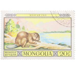 Почтовая марка 20 мунгу 1974 года Монголия «Редкие животные — Речной бобр» — Фото №1