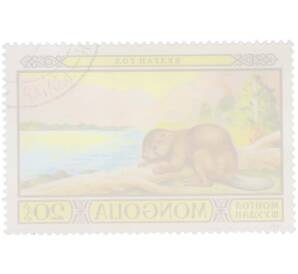 Почтовая марка 20 мунгу 1974 года Монголия «Редкие животные — Речной бобр» — Фото №2