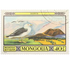 Почтовая марка 40 мунгу 1974 года Монголия «Животные заповедников — Восточная клуша» — Фото №1