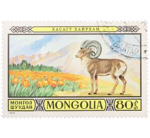 Почтовая марка 80 мунгу 1974 года Монголия «Животные заповедников — Алтайский горный баран (аргали)» — Фото №1