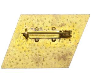 Значок 1976 года Восточная Германия (ГДР) «Боевой курс — IX съезд СЕПГ» — Фото №2