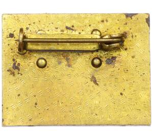 Значок 1981 года Восточная Германия (ГДР) «Боевая позиция — X съезд СЕПГ» — Фото №2