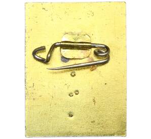 Значок Восточная Германия (ГДР) «IFA (союз предприятий автомобильной промышленности) — mobile DDR» — Фото №2