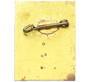 Значок Восточная Германия (ГДР) «IFA (союз предприятий автомобильной промышленности) — mobile DDR» — Фото №2