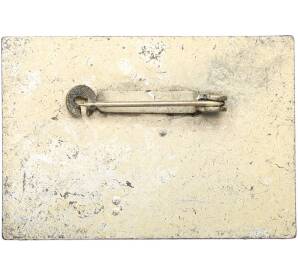 Значок 1974 года Восточная Германия (ГДР) «10-й конгресс Общества германо-советской дружбы» — Фото №2