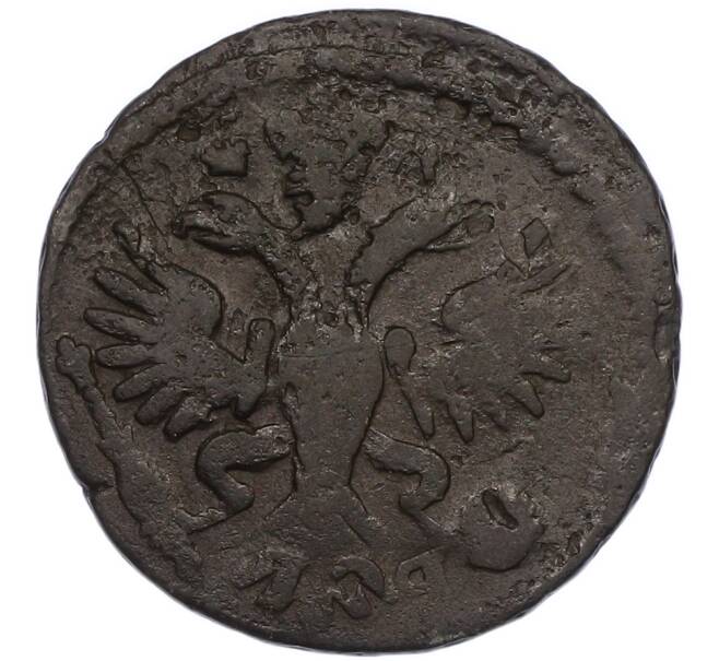 Монета Денга 1731 года (Артикул: K7-1346) — Фото №2
