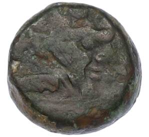 Тетрахалк 220-210 года до н.э. Боспорское царство (Фанагория) — Фото №1