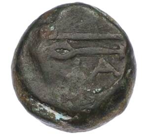 Тетрахалк 220-210 года до н.э. Боспорское царство (Фанагория) — Фото №2