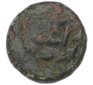 Тетрахалк 220-210 года до н.э. Боспорское царство (Фанагория) — Фото №1