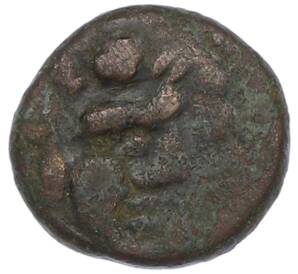 Тетрахалк 220-210 года до н.э. Боспорское царство (Фанагория) — Фото №2