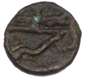 Тетрахалк 220-210 года до н.э. Боспорское царство (Фанагория) — Фото №1