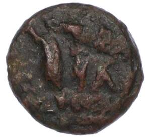 Тетрахалк 220-210 года до н.э. Боспорское царство (Фанагория) — Фото №2