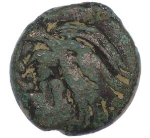 Обол 284-275 года до н.э. Боспорское царство (Пантикапей) (Голова быка) — Фото №2