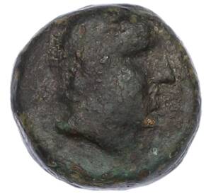 Тетрахалк 150-140 года до н.э. Боспорское царство (Пантикапей) — Персидад IV — Фото №1