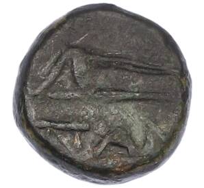 Тетрахалк 150-140 года до н.э. Боспорское царство (Пантикапей) — Персидад IV — Фото №2
