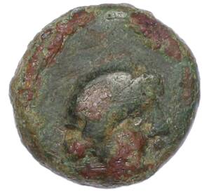 Тетрахалк 150-140 года до н.э. Боспорское царство (Пантикапей) — Персидад IV — Фото №1