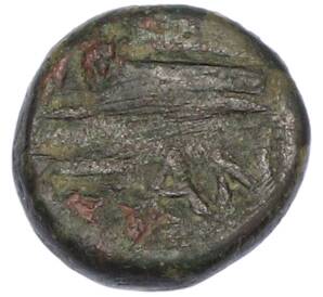 Тетрахалк 150-140 года до н.э. Боспорское царство (Пантикапей) — Персидад IV — Фото №1