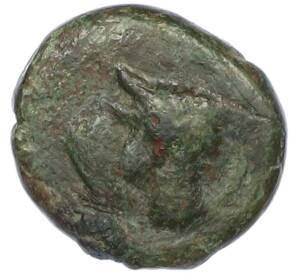 Тетрахалк 155-140 года до н.э. Боспорское царство (Пантикапей) — Персидад IV (Бык) — Фото №1