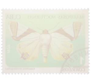 Почтовая марка 1 сентаво 1979 года Куба «Ночные бабочки — Eulepidotis rectimargo» — Фото №2