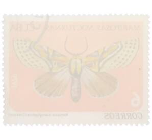 Почтовая марка 6 сентаво 1979 года Куба «Ночные бабочки — Noropsis hieroglyphica» — Фото №2