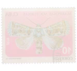 Почтовая марка 10 сентаво 1979 года Куба «Ночные бабочки — Heterochroma sp.» — Фото №2