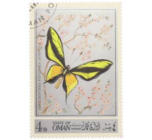 Почтовая марка 4 байз 1972 года Оман «Бабочки — Орнитоптера райская» — Фото №1