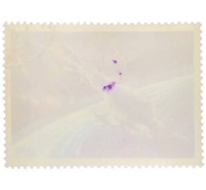 Почтовая марка 6 копеек 1972 года «День космонавтики — Орбитальная станция Салют-1 и космический корабль Союз-11» — Фото №2