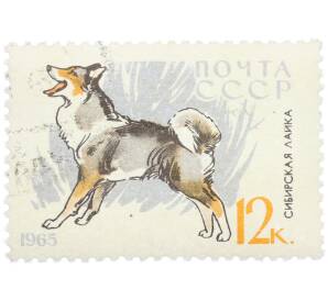 Почтовая марка 12 копеек 1965 года «Служебные и охотничьи собаки — Сибирская лайка» — Фото №1