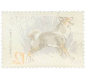 Почтовая марка 12 копеек 1965 года «Служебные и охотничьи собаки — Сибирская лайка» — Фото №2