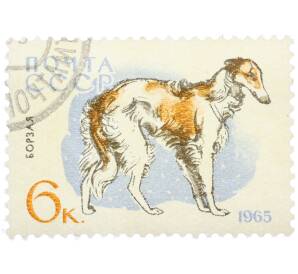 Почтовая марка 6 копеек 1965 года «Служебные и охотничьи собаки — Русская псовая борзая» — Фото №1