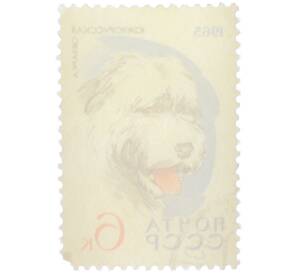 Почтовая марка 6 копеек 1965 года «Служебные и охотничьи собаки — Южнорусская овчарка» — Фото №2