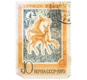 Почтовая марка 10 копеек 1970 года «Туризм в СССР — Охота на пятнистых оленей» — Фото №1