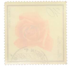 Почтовая марка 40 грошей 1966 года Польша «Цветы — Роза» — Фото №2