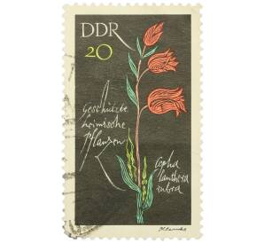 Почтовая марка 20 пфеннигов 1966 года Восточная Германия (ГДР) «Охраняемые растения — Пыльцеголовник красный» — Фото №1