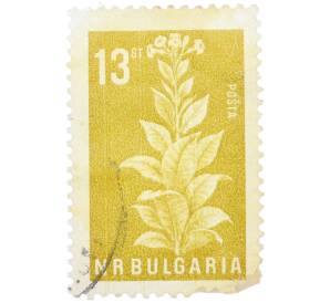 Почтовая марка 13 стотинок 1965 года Болгария «Сельское хозяйство — Табак» — Фото №1